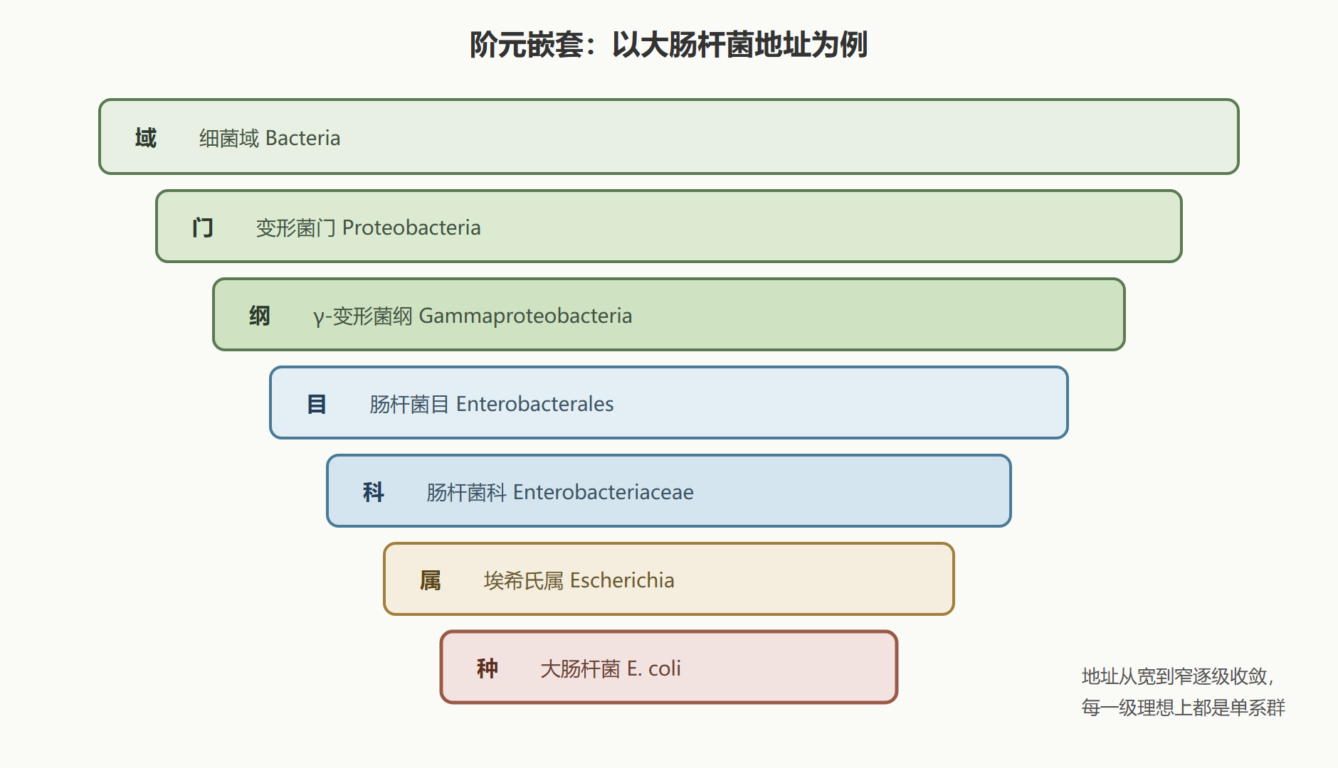图 1 阶元嵌套与层级失衡示意