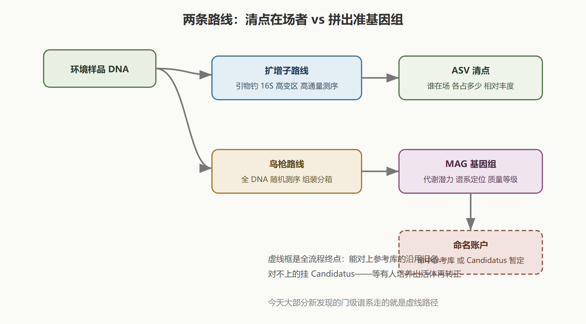 图 1 从环境样品到命名账户的两条路线
