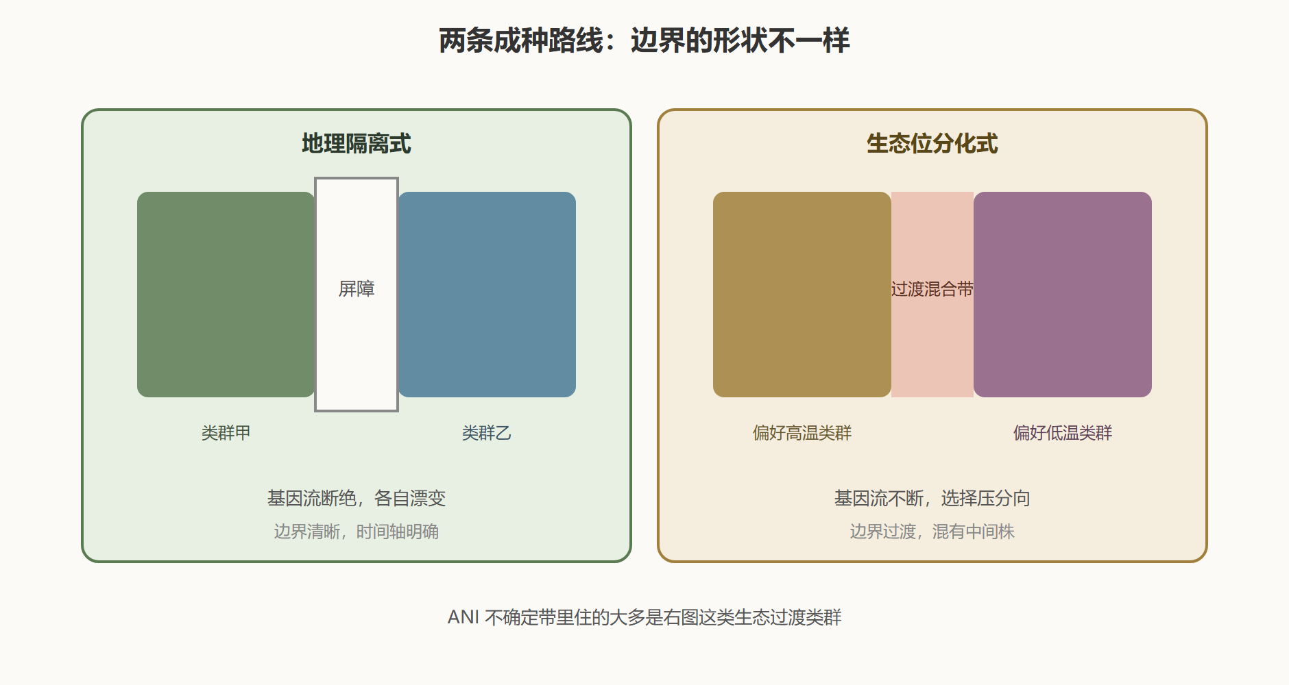 图 1 两条路线的边界形态对比