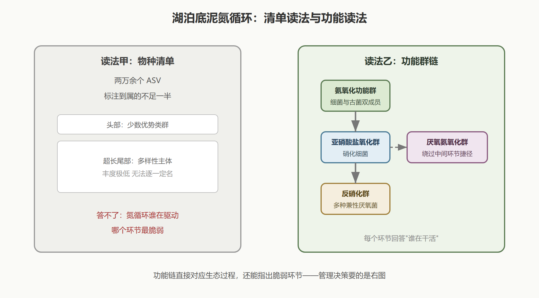 图 1 同一群落的两种读法