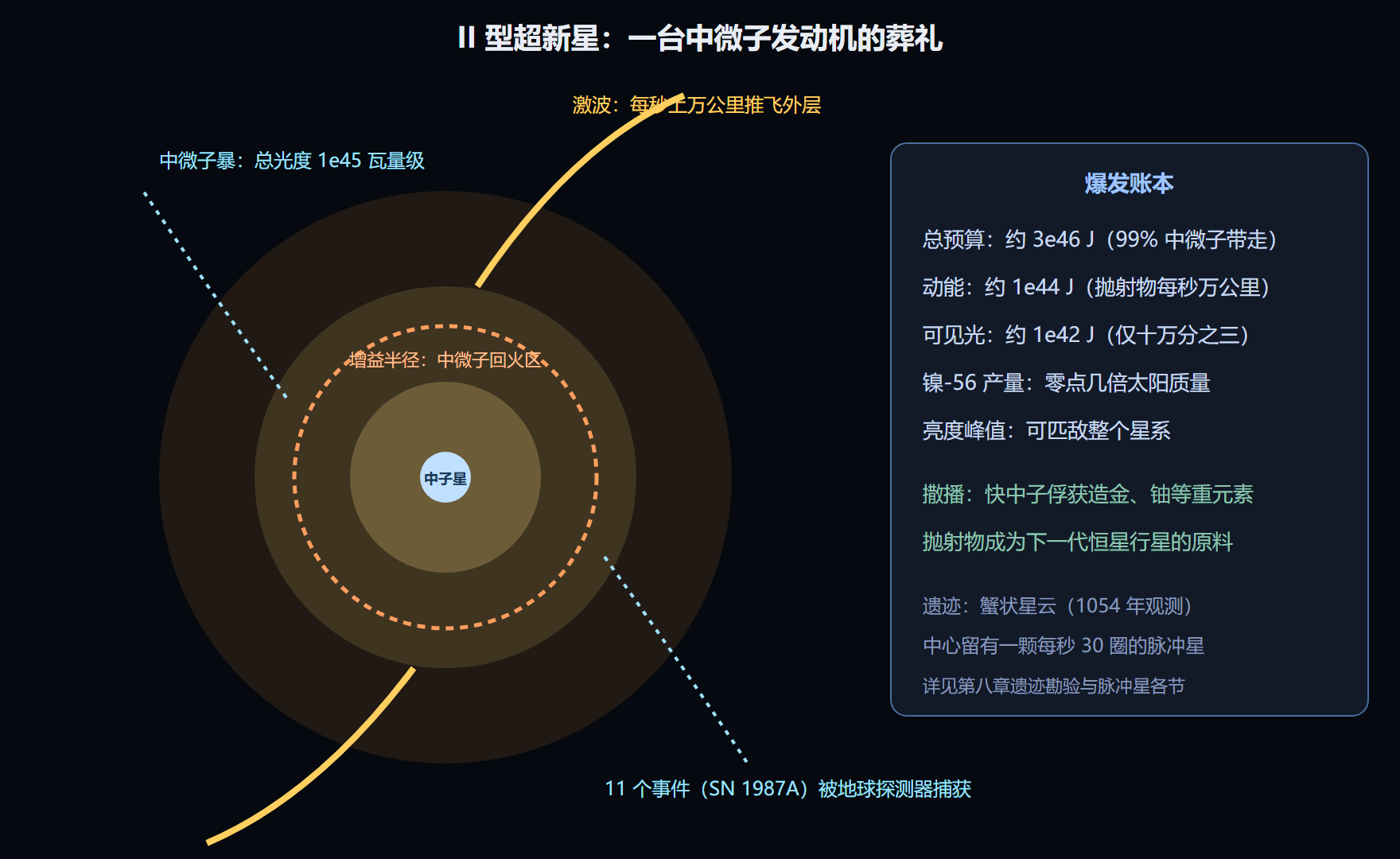 核心坍缩超新星的解剖