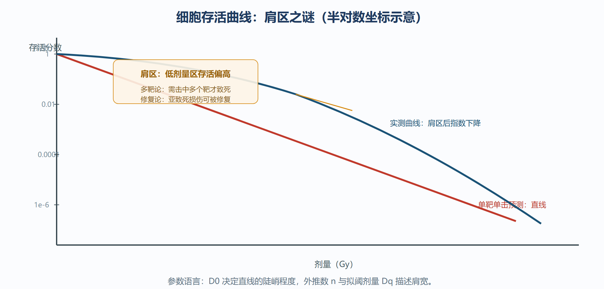 图:细胞存活曲线——指数直线与肩区的对峙
