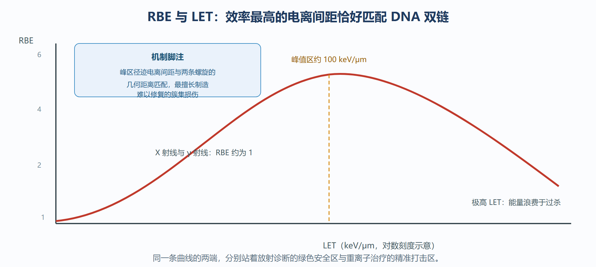 图:RBE 随 LET 的变化——先升后降的峰形曲线