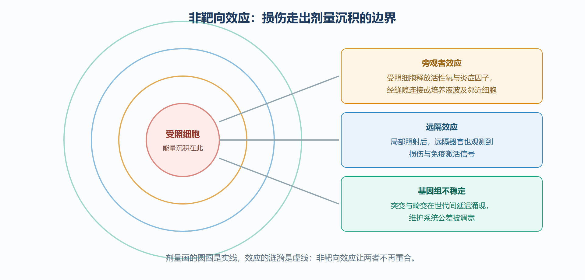 图：损伤的涟漪——从受照细胞到未受照细胞