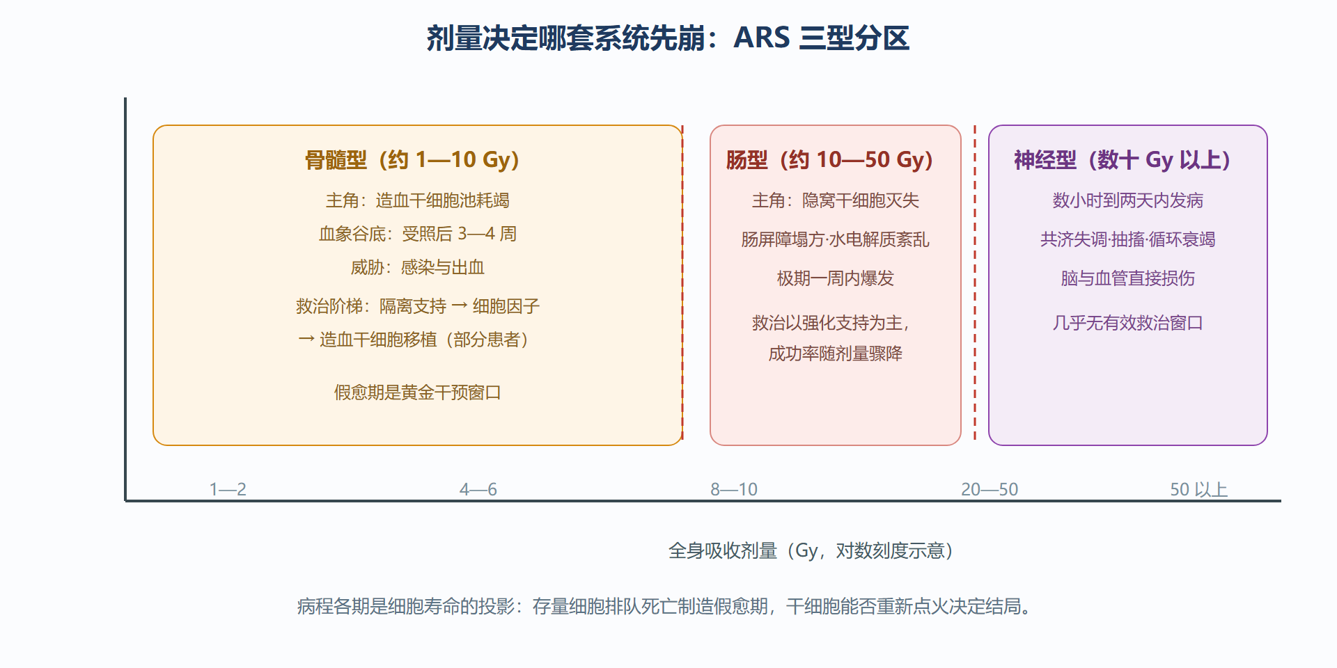 图：急性辐射综合征的剂量-病程分区图