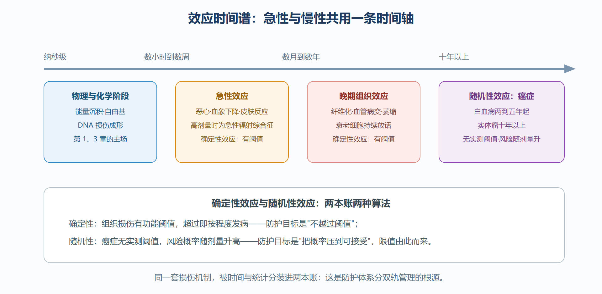 图:效应时间谱——从纳秒到一生的账期