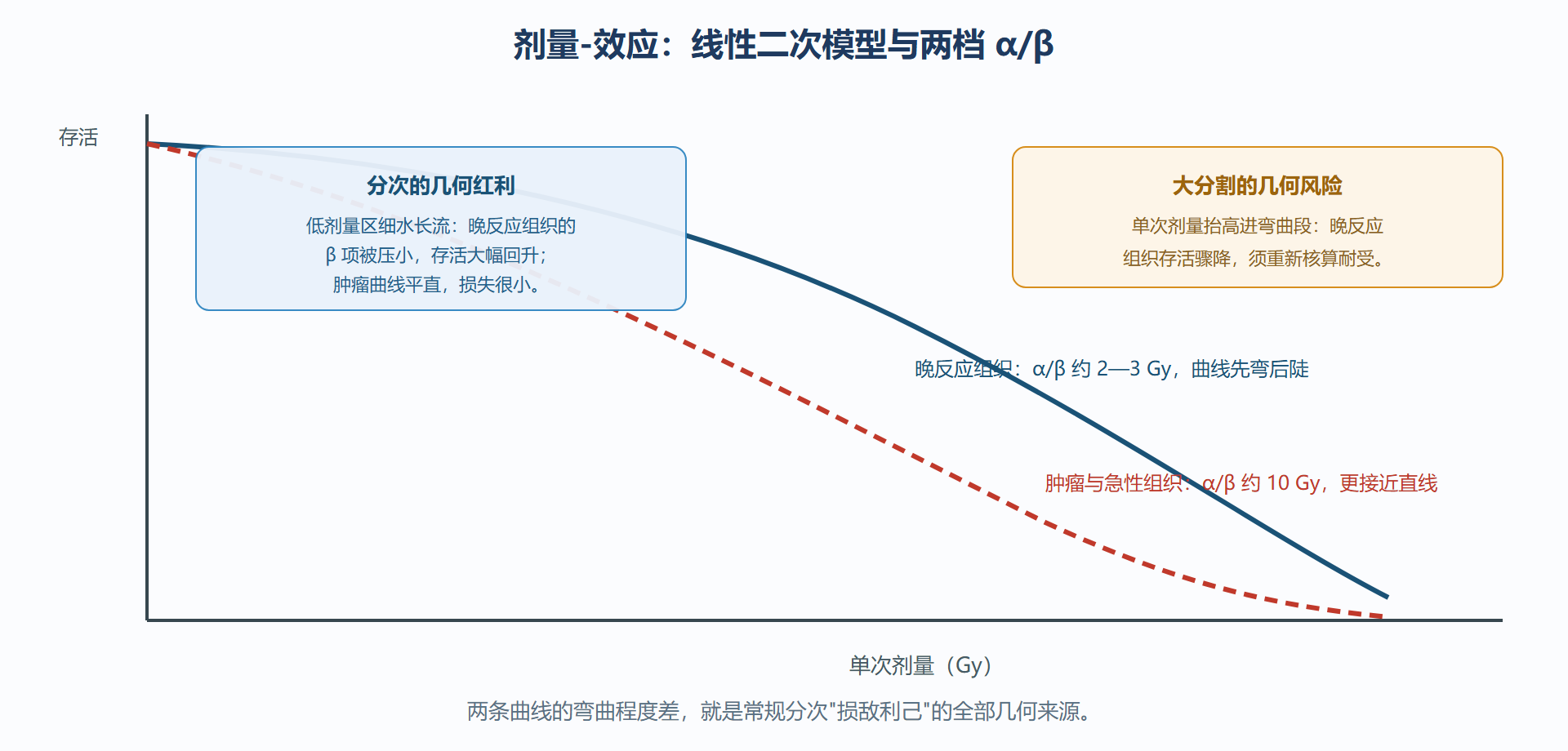 图：LQ 曲线与 α/β 分档——分次优势的几何解释