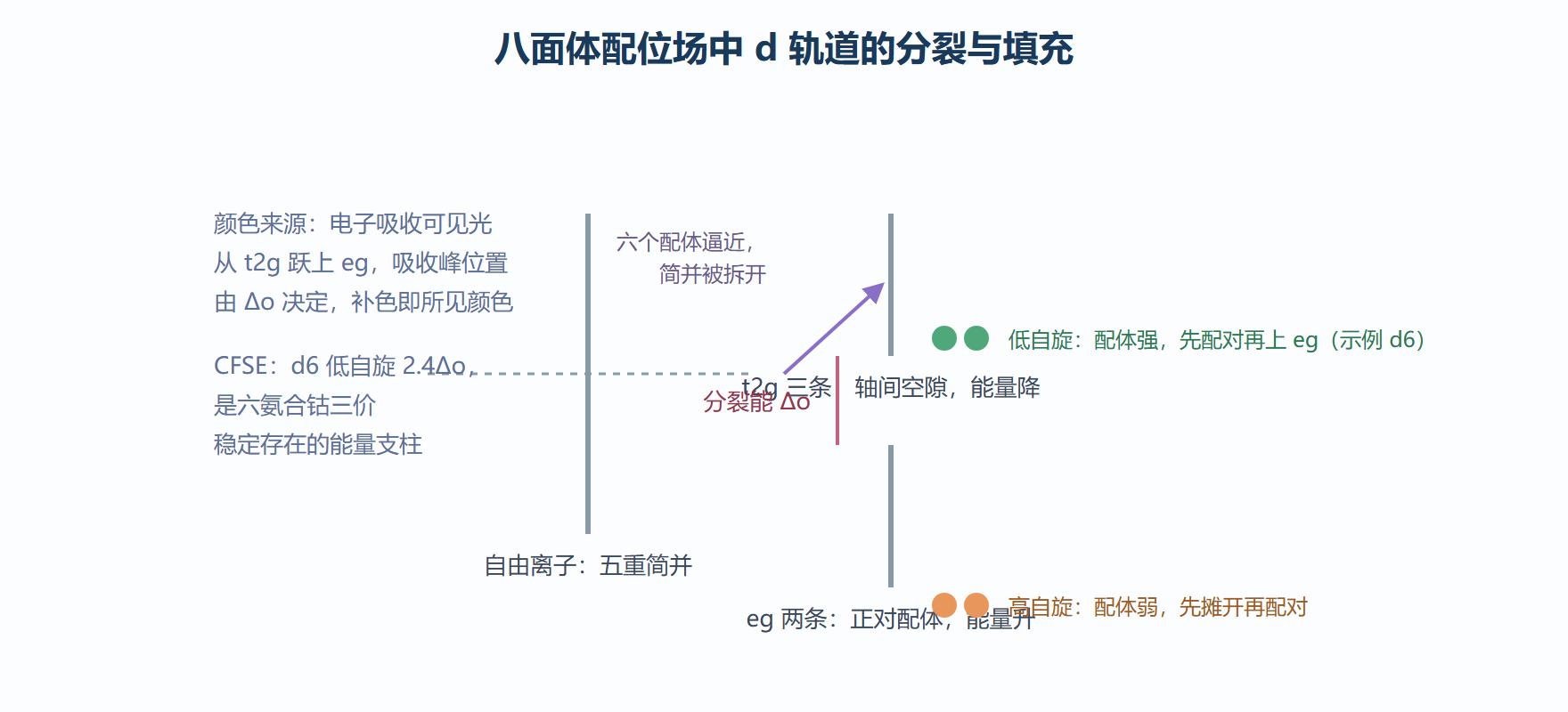 八面体场中 d 轨道的分裂
