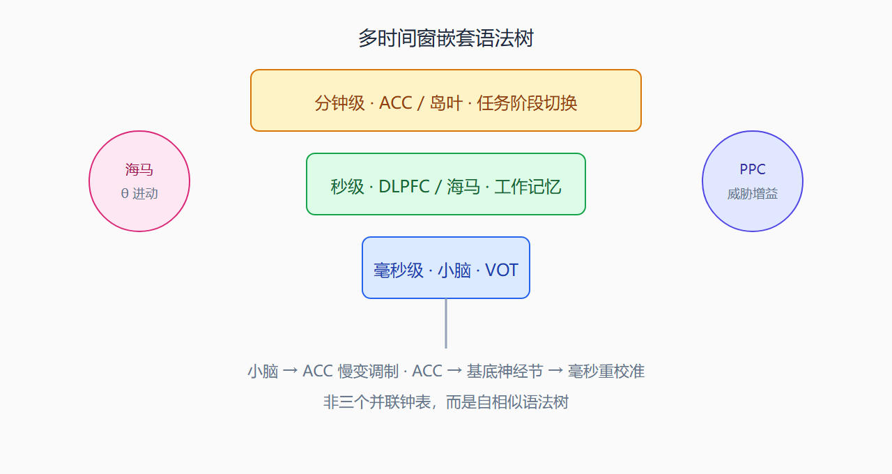神经时间窗嵌套结构