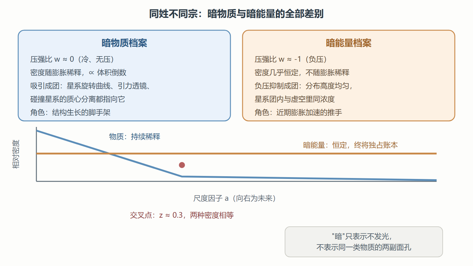 图 双暗对比:密度演化的分岔与角色分工