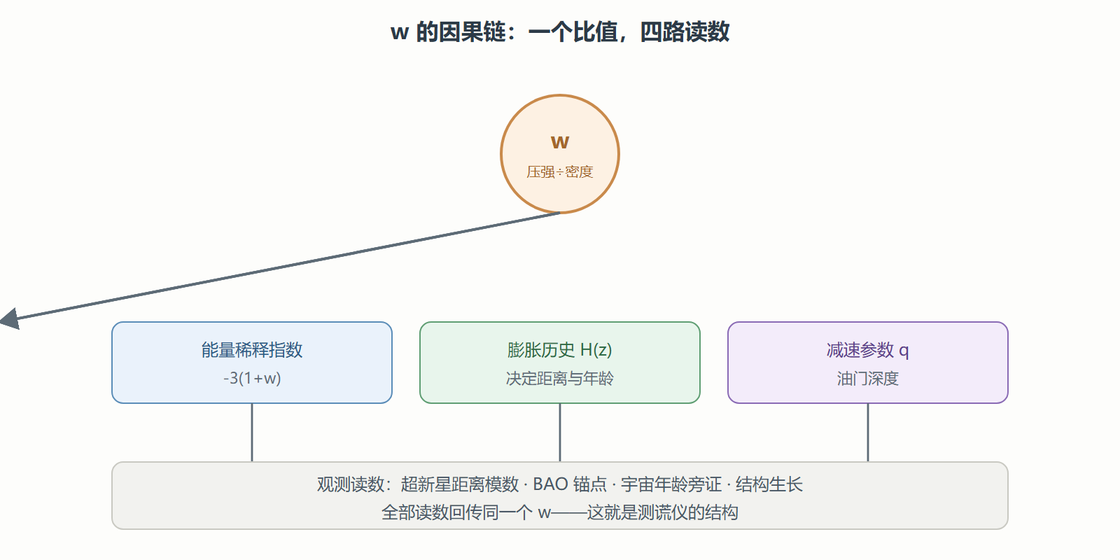 图 w 的因果链：一个参数牵动整条观测线