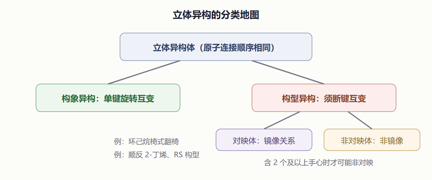 图 3-2 立体异构关系全景