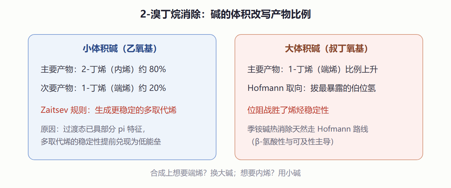 图 4-2 Zaitsev 与 Hofmann 产物分布