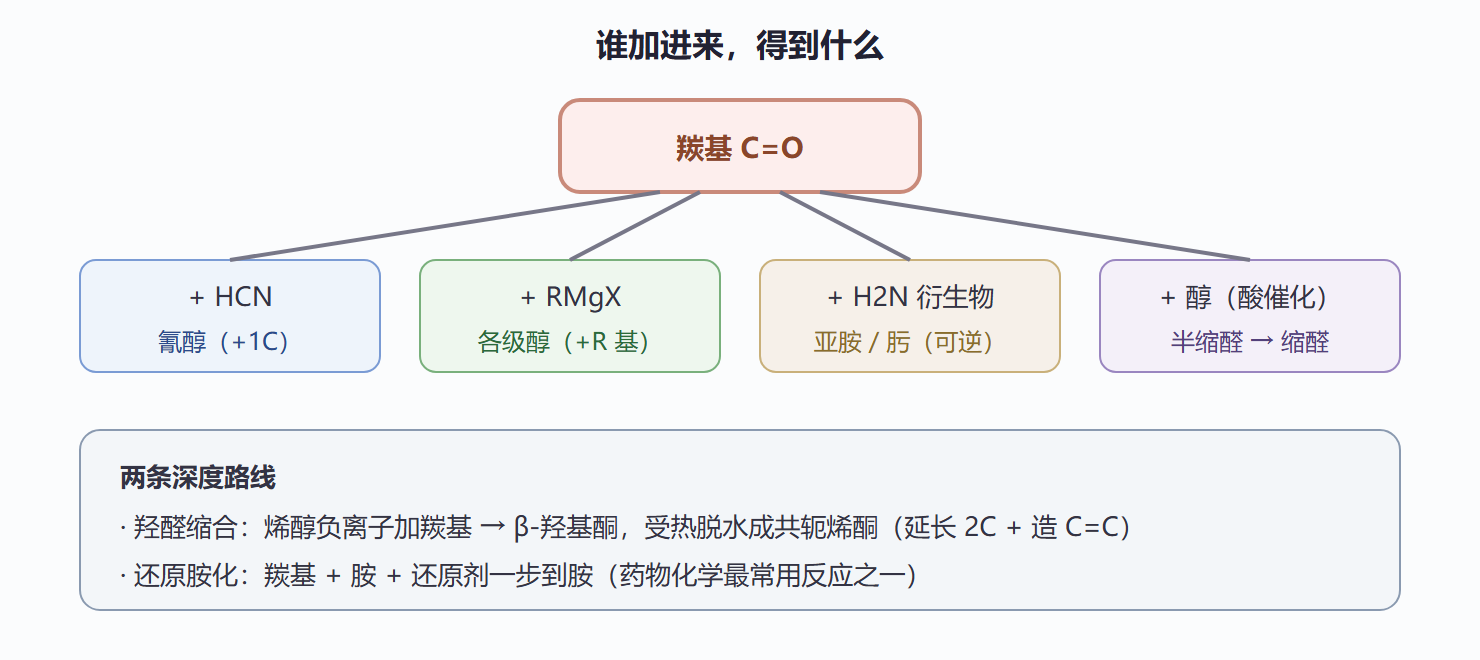 图 5-2 羰基亲核加成的家族全景