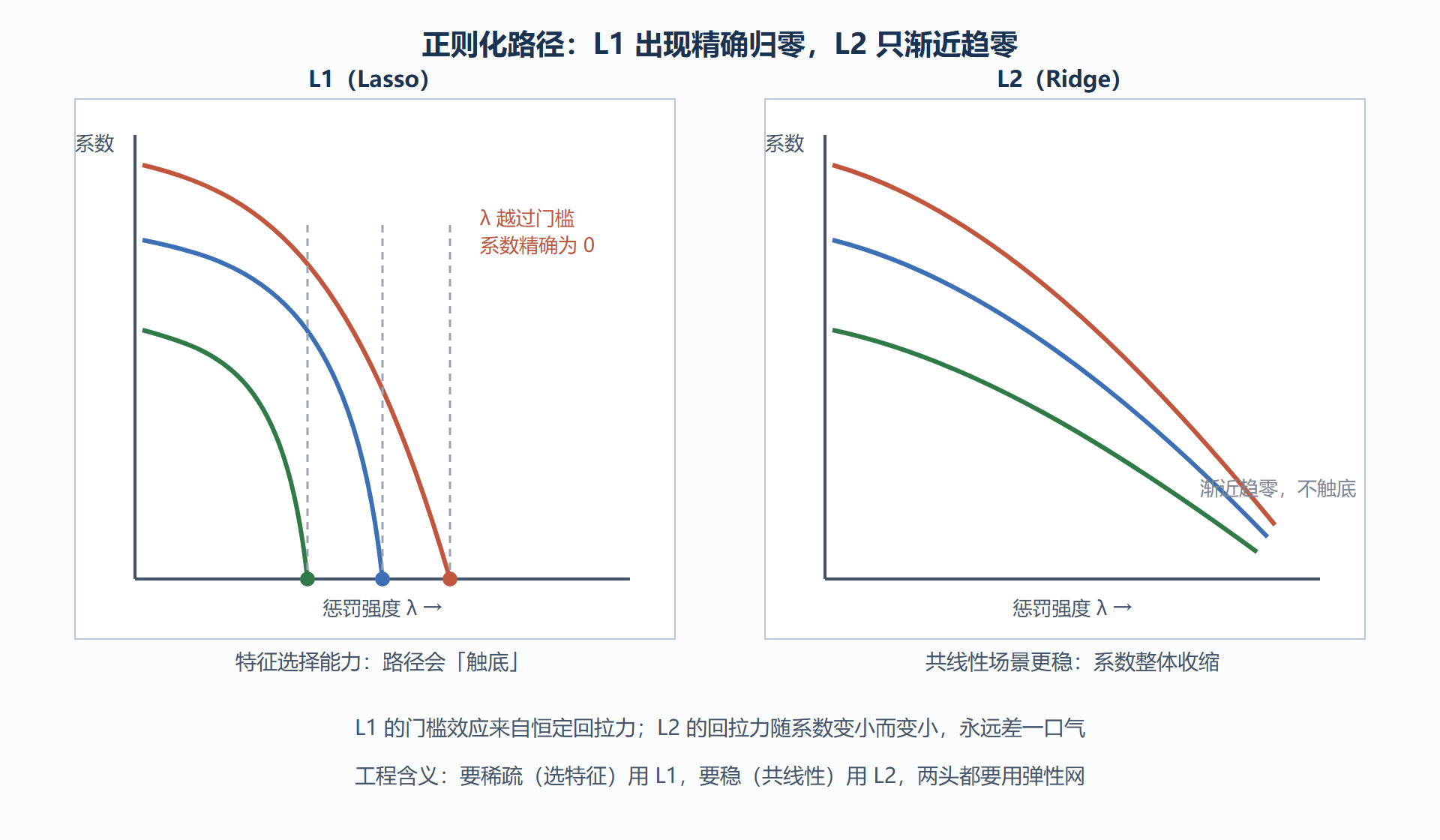 图:正则化路径——系数随惩罚强度增大被逐步压缩