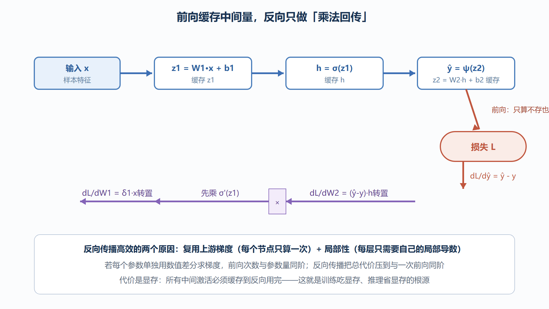 图:反向传播的计算流——前向缓存与反向回传