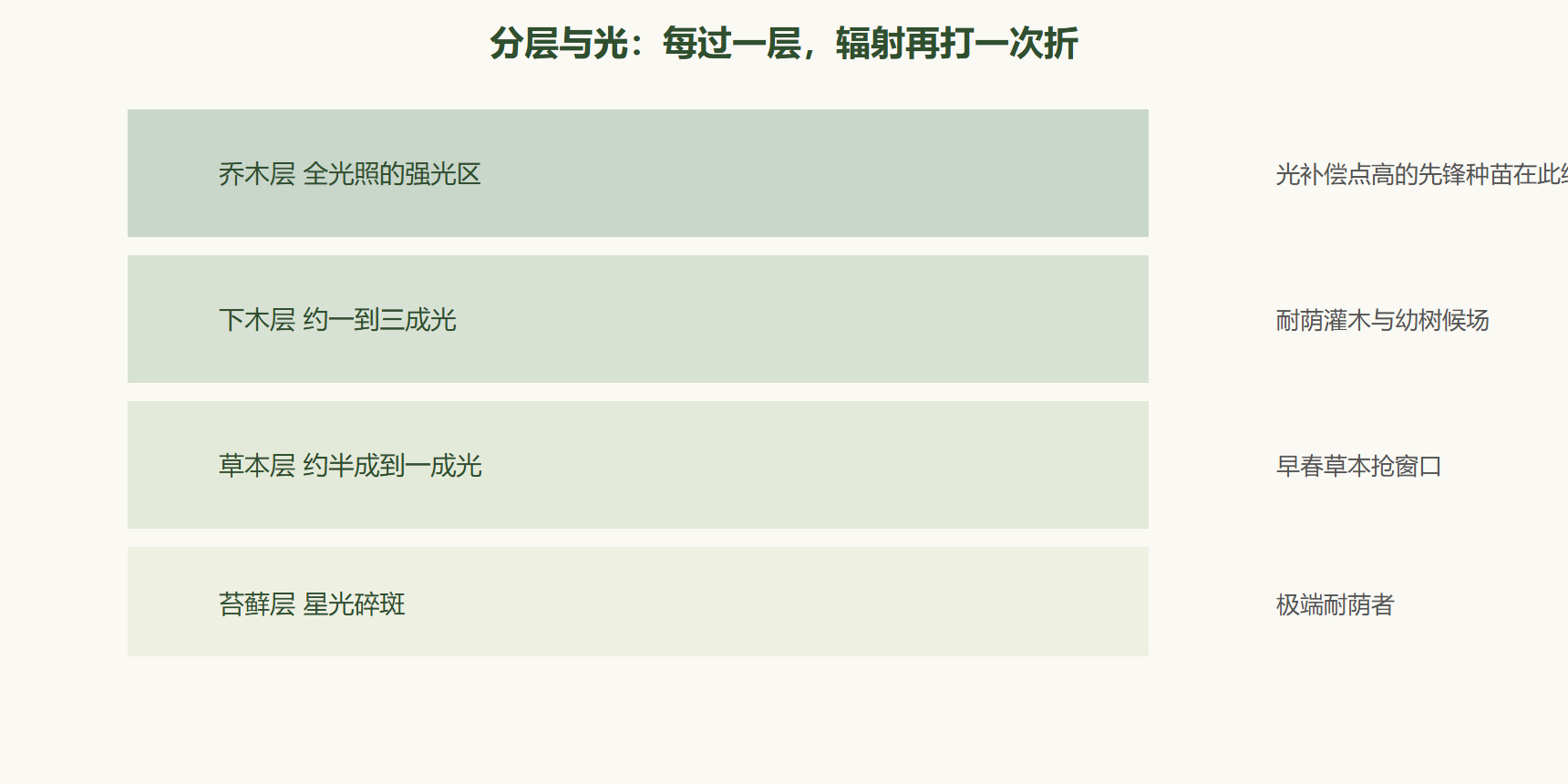 图:森林垂直分层与光照衰减