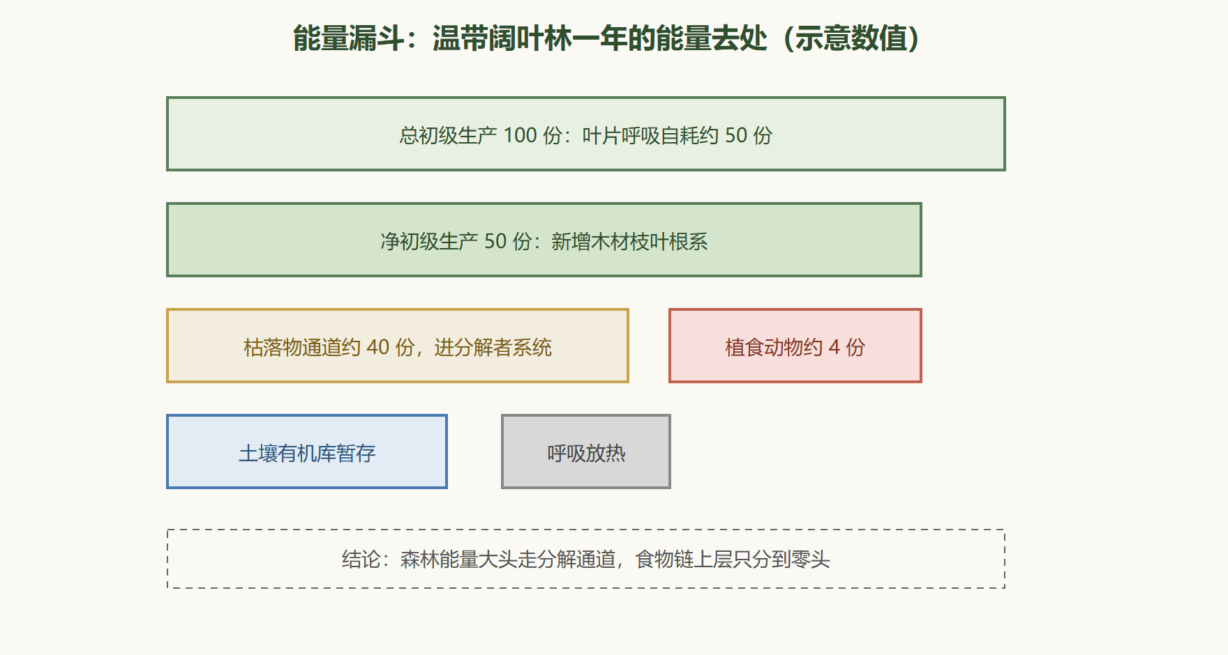 图:森林能量分配的漏斗结构
