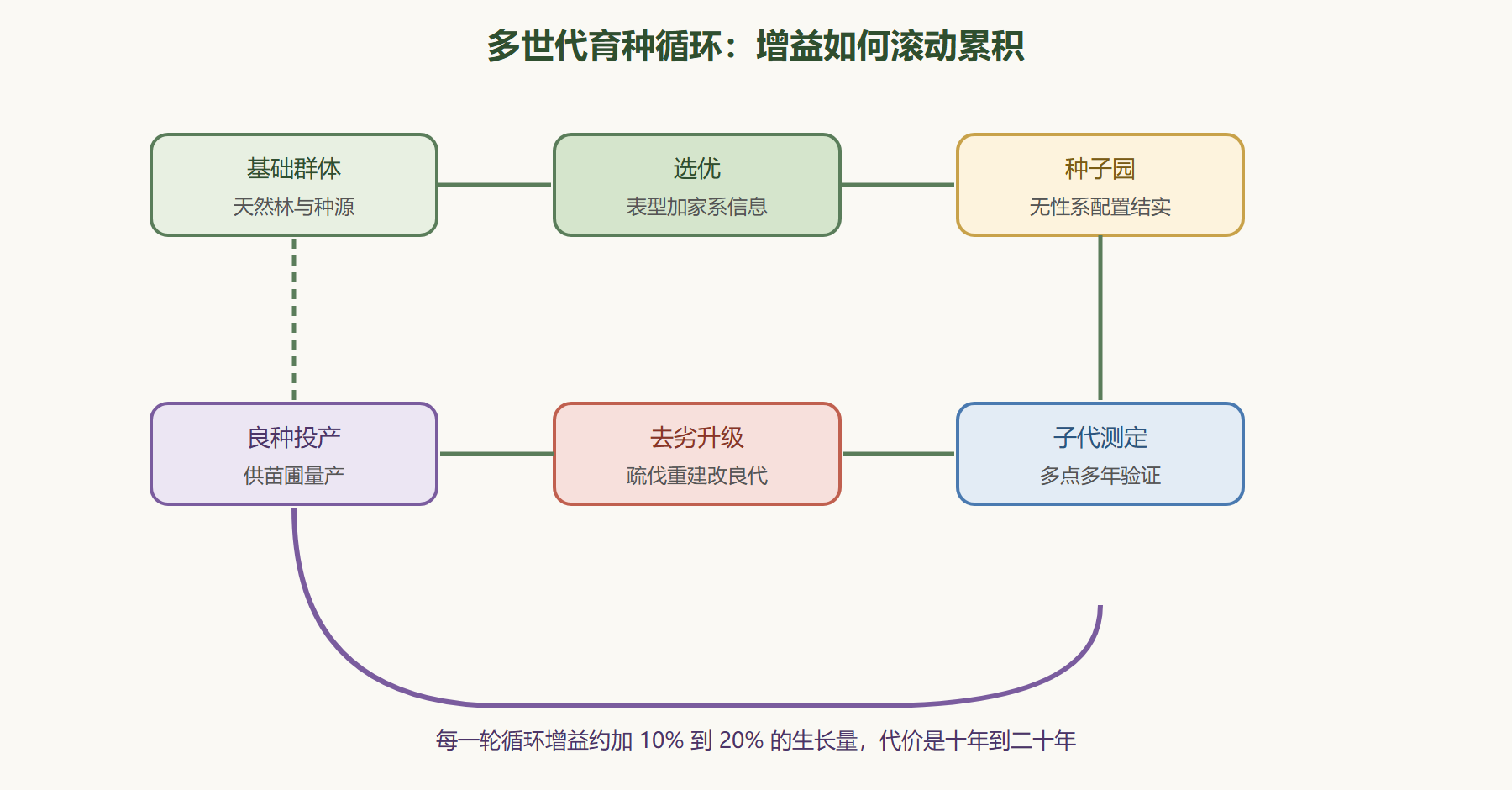 图：多世代育种循环