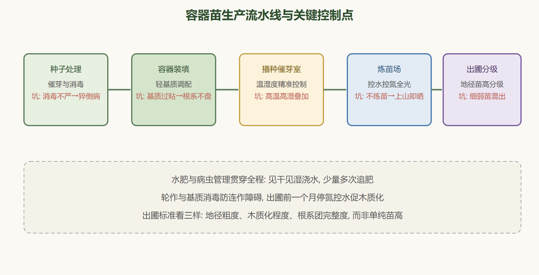 图：容器苗生产线布局