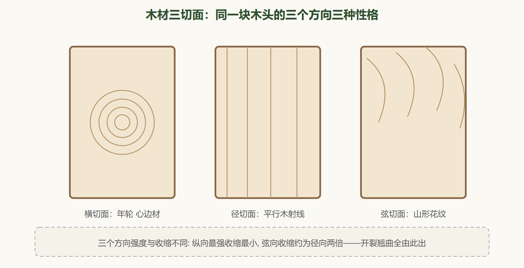 图：木材三切面与各向异性
