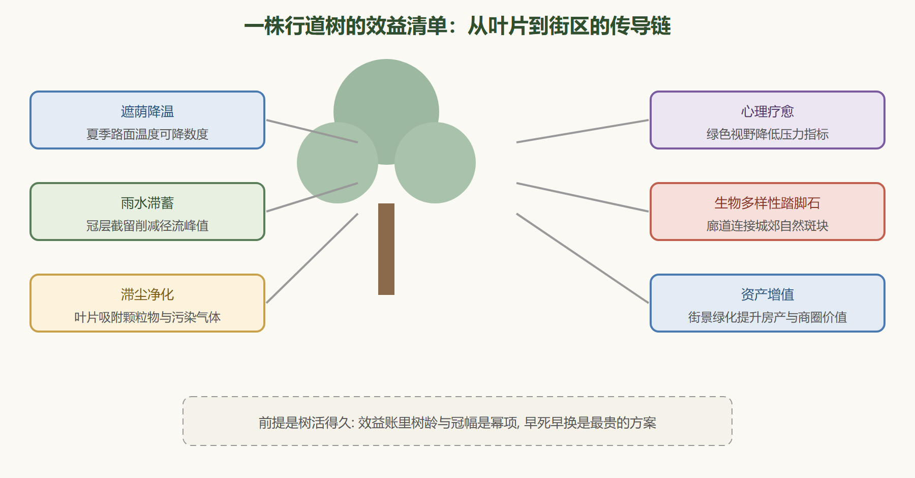 图：城市森林的多层效益网络