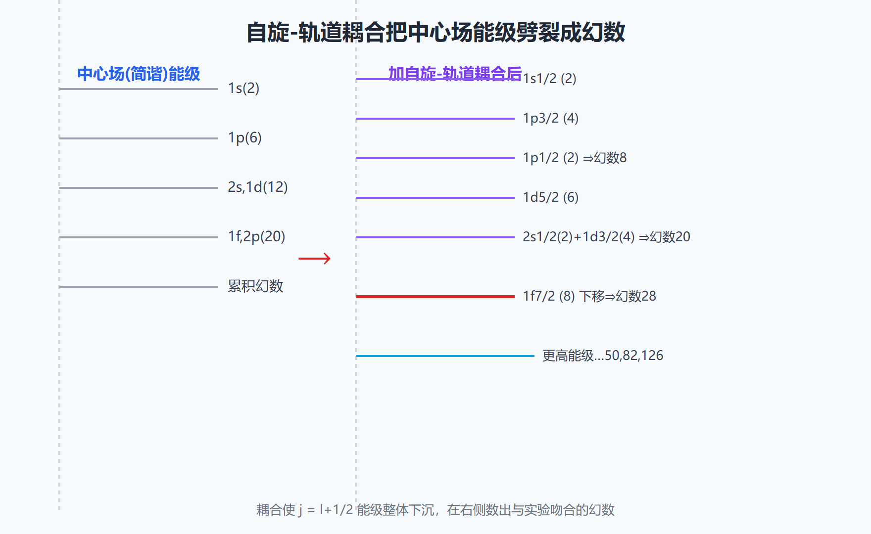 图：自旋-轨道耦合如何把能级劈裂出幻数