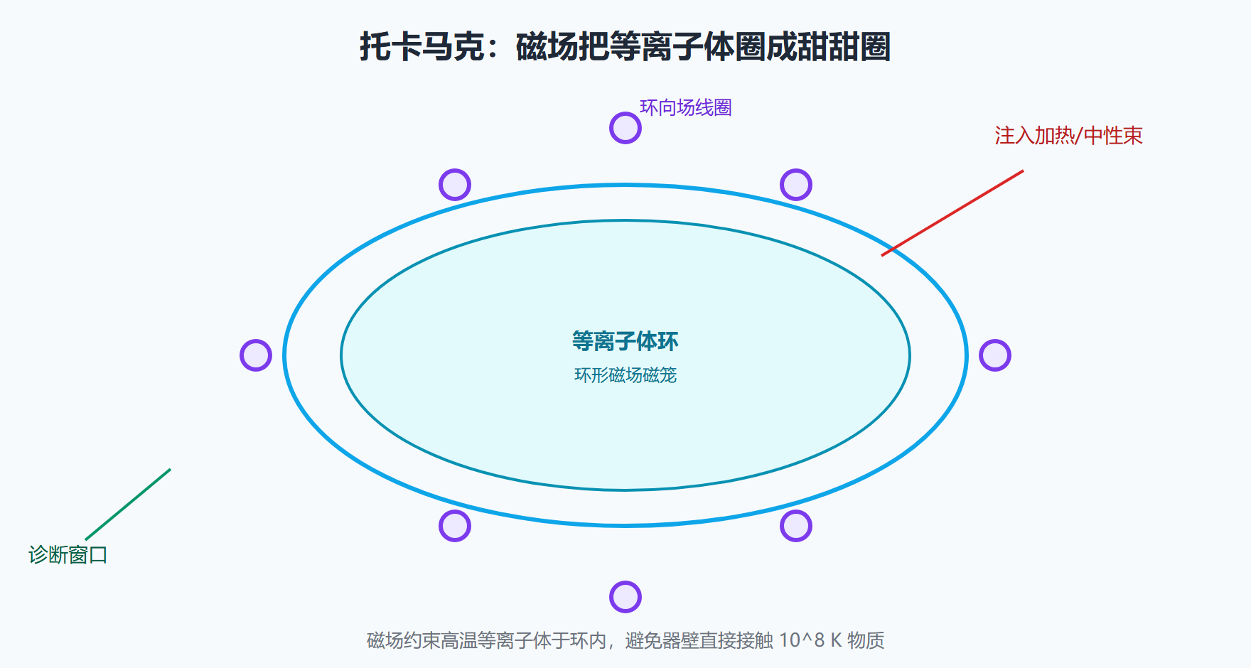 图：磁约束托卡马克的等离子体环