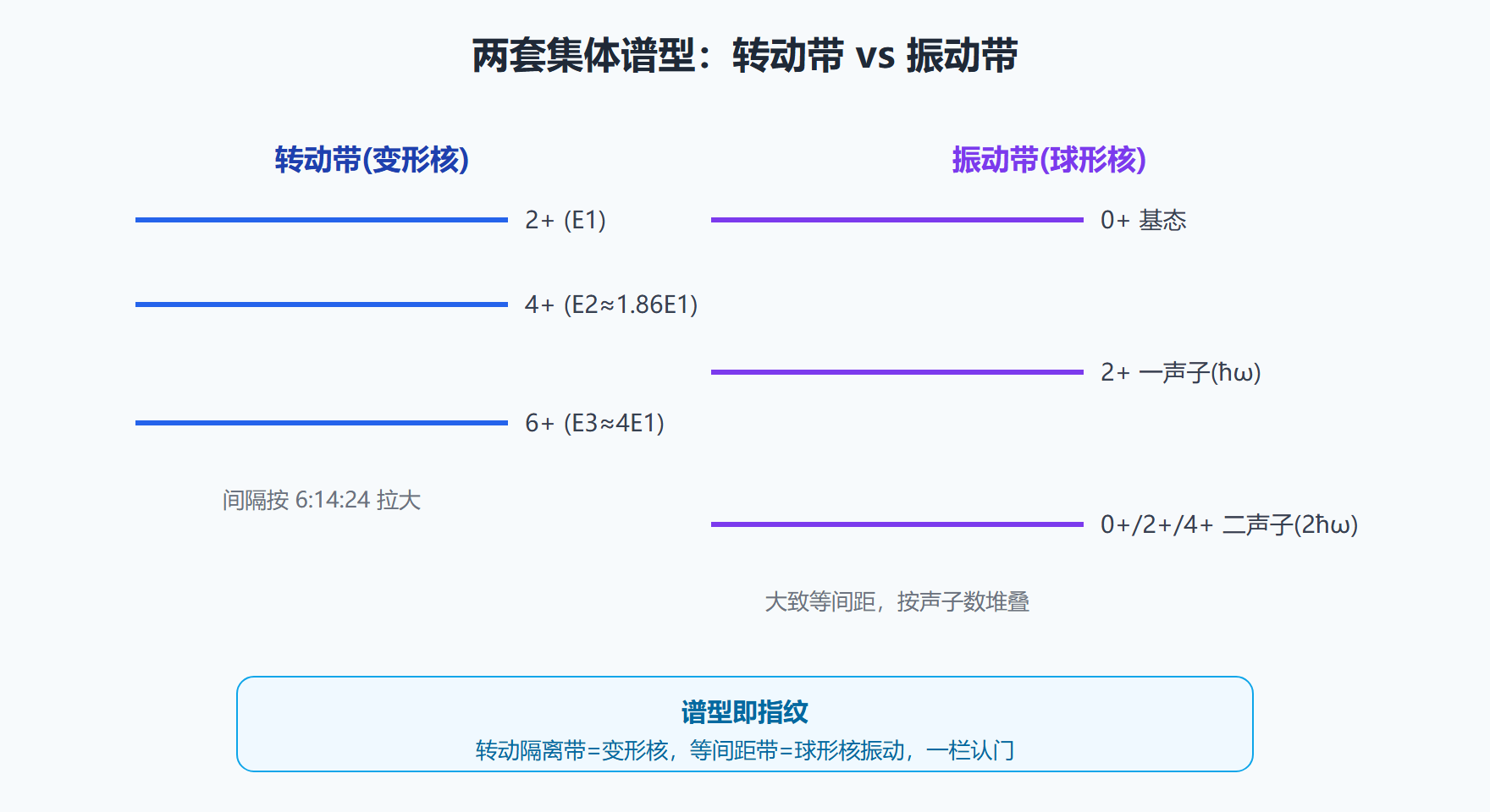 图：集体模型的转动带 vs 振动带谱型