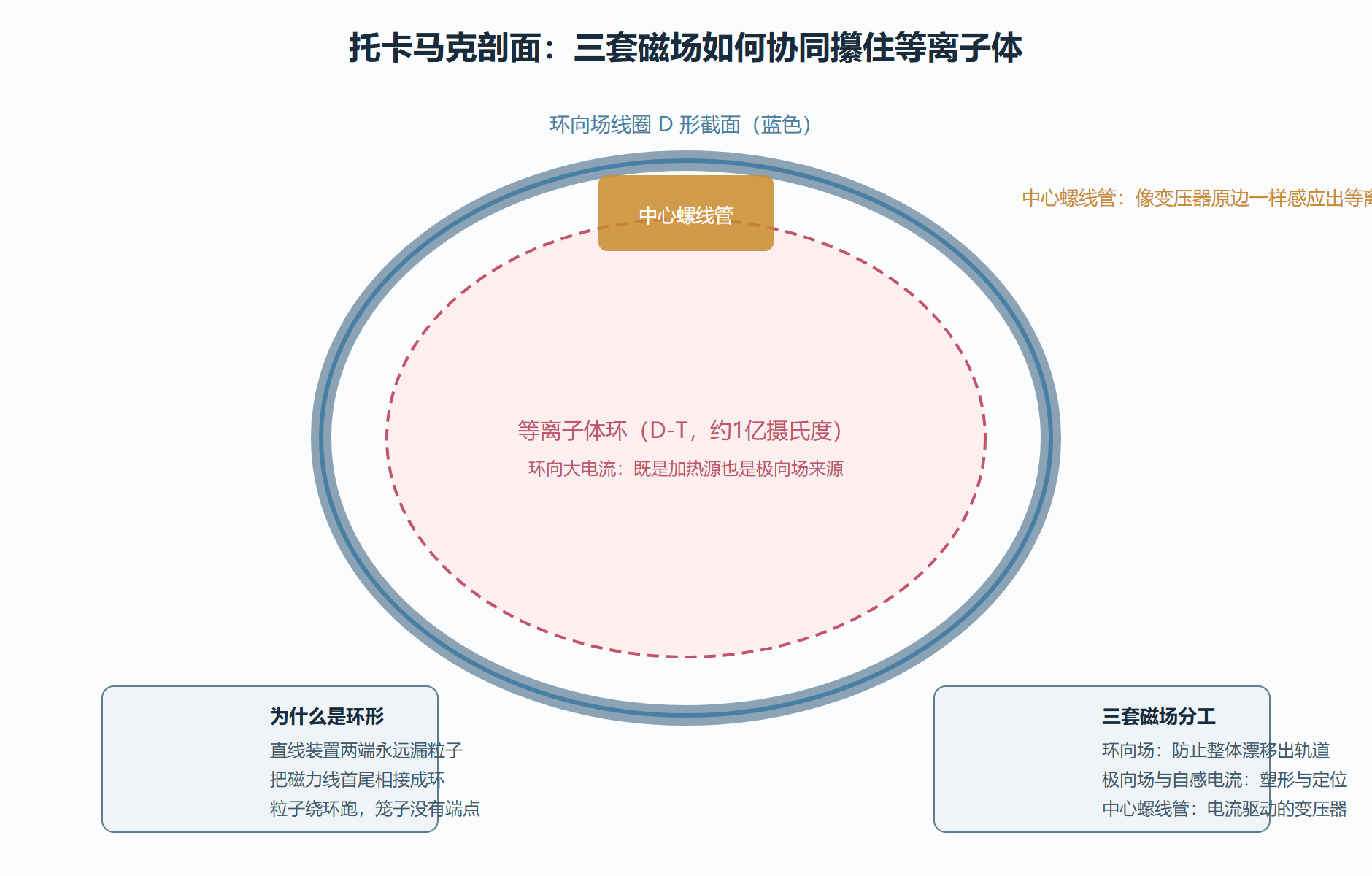 图：托卡马克剖面构造解析