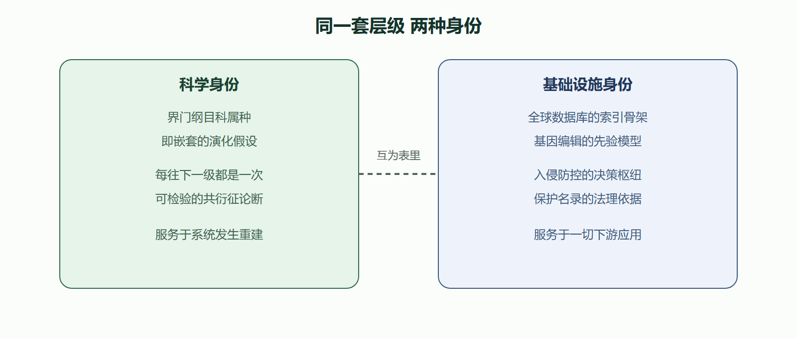 图 层级体系的双重角色