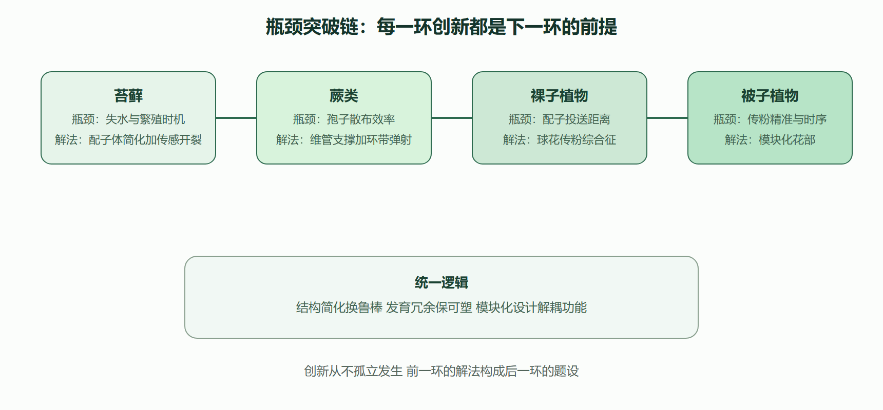 图 四大分支的瓶颈突破链