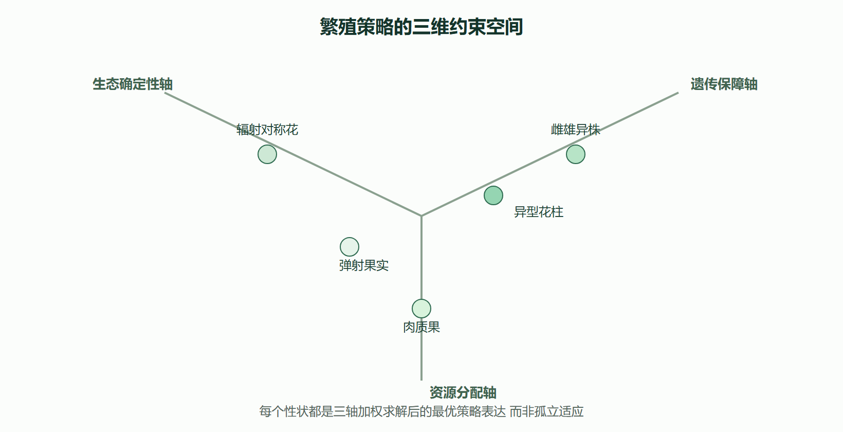 图 繁殖策略三维约束空间