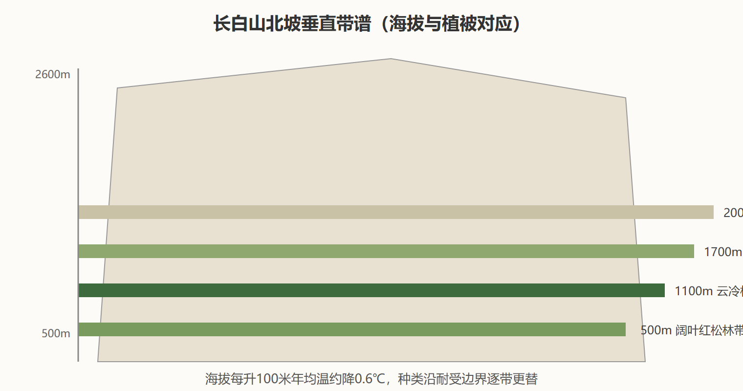 图 长白山北坡垂直带谱示意