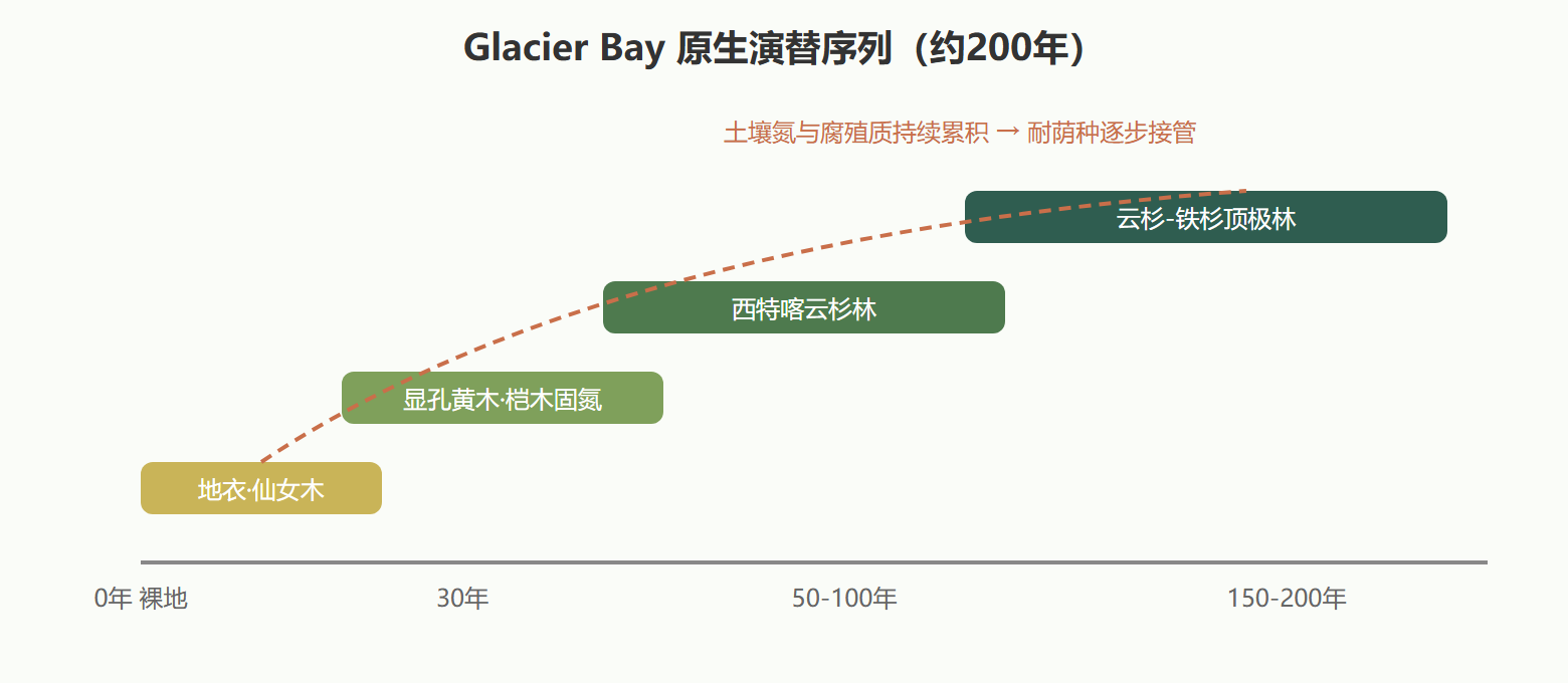 图 Glacier Bay 原生演替两百年序列