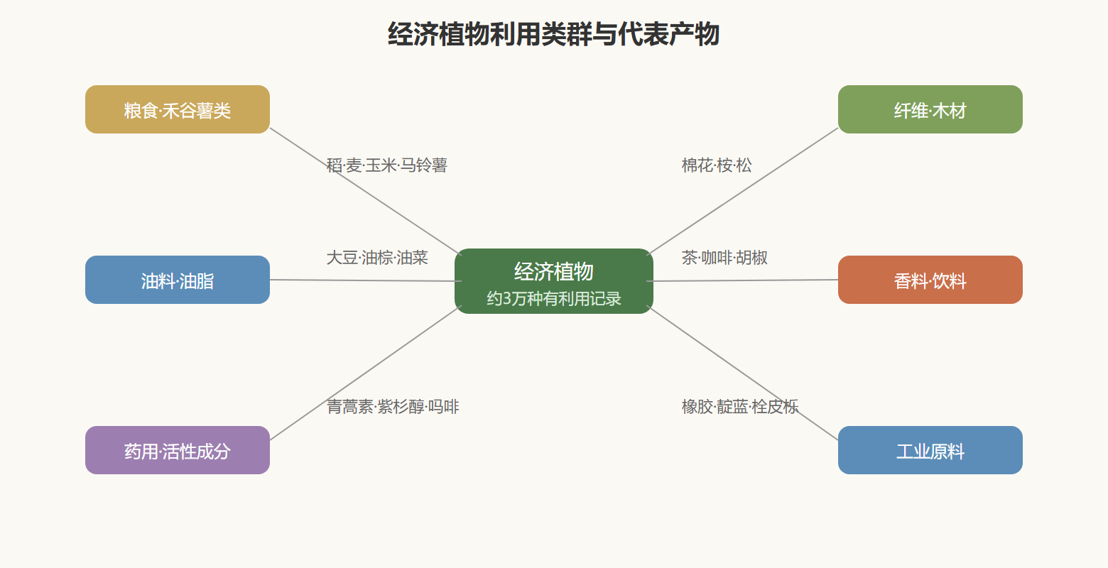 图 经济植物主要利用类群与代表性产物网络