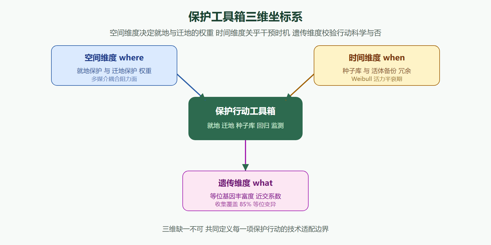 图 保护工具箱三维坐标系