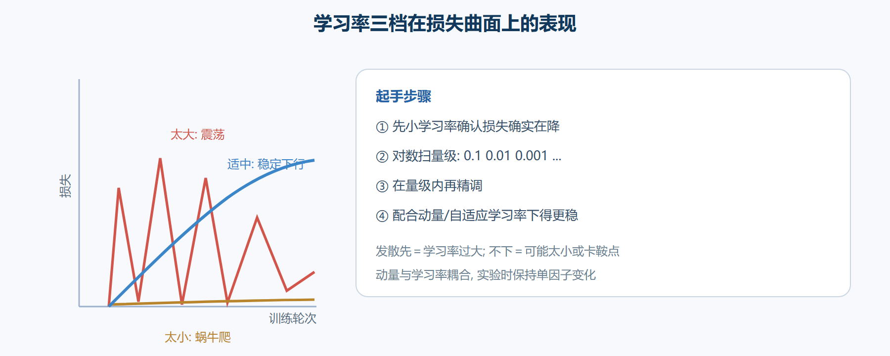 不同学习率在同一损失曲面上的轨迹