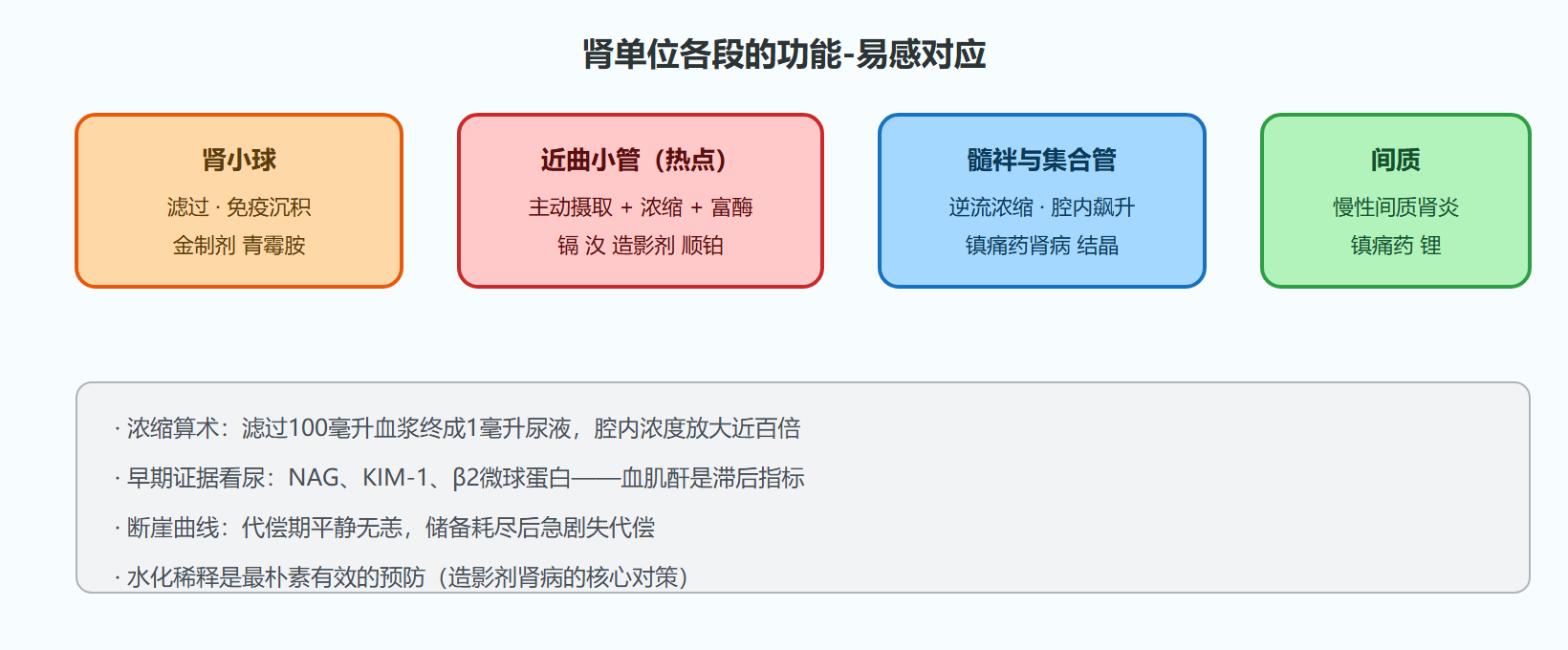 四、诊断陷阱：储备与断崖