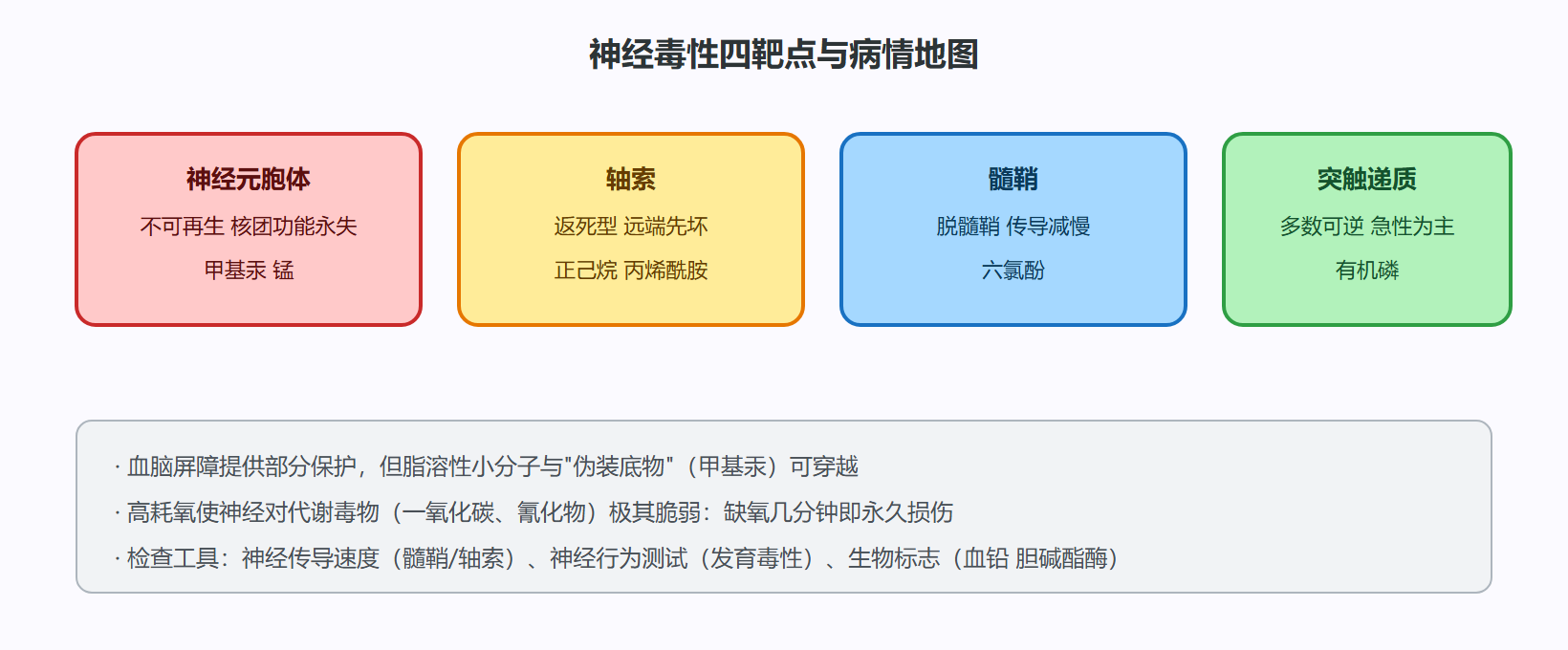 二、发育神经毒性:无临床阈值的群体损伤