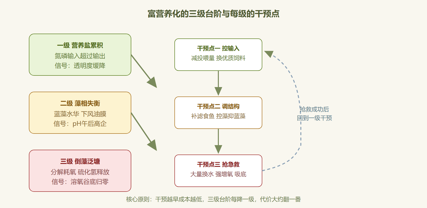 图:从营养盐到泛塘的恶化路径与干预点