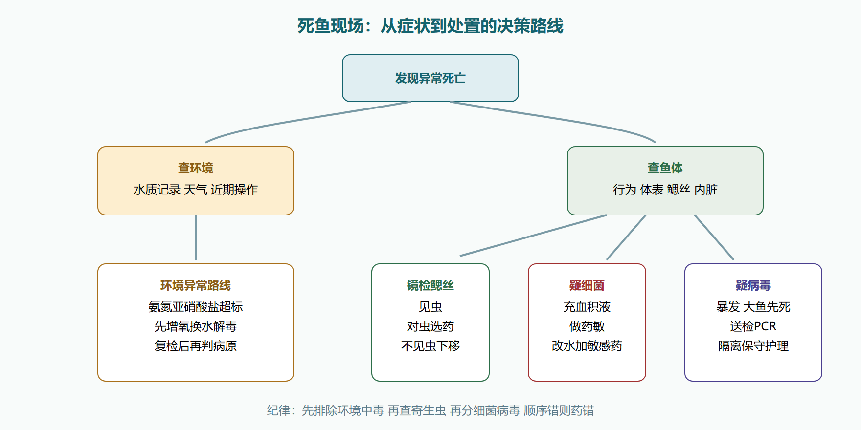 图:一页现场诊断决策路线