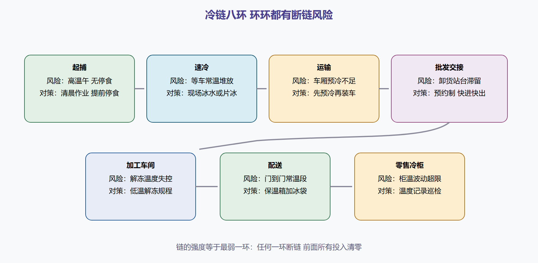 图:从起捕到餐桌的断链风险点扫描