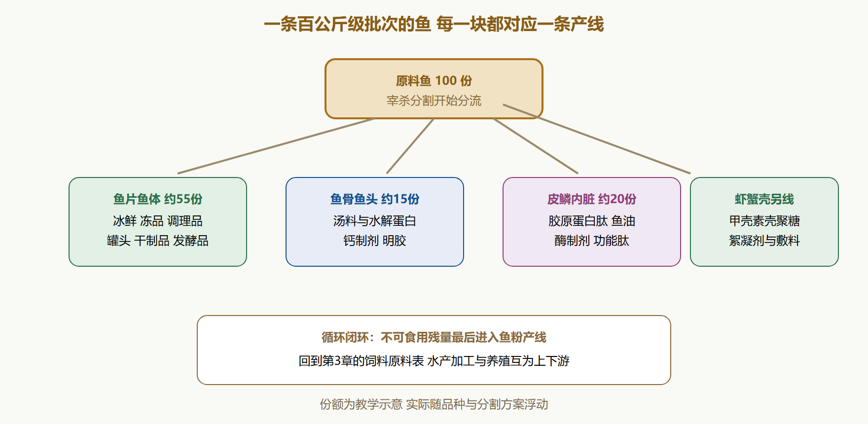 图:一条鱼的完整价值拆解