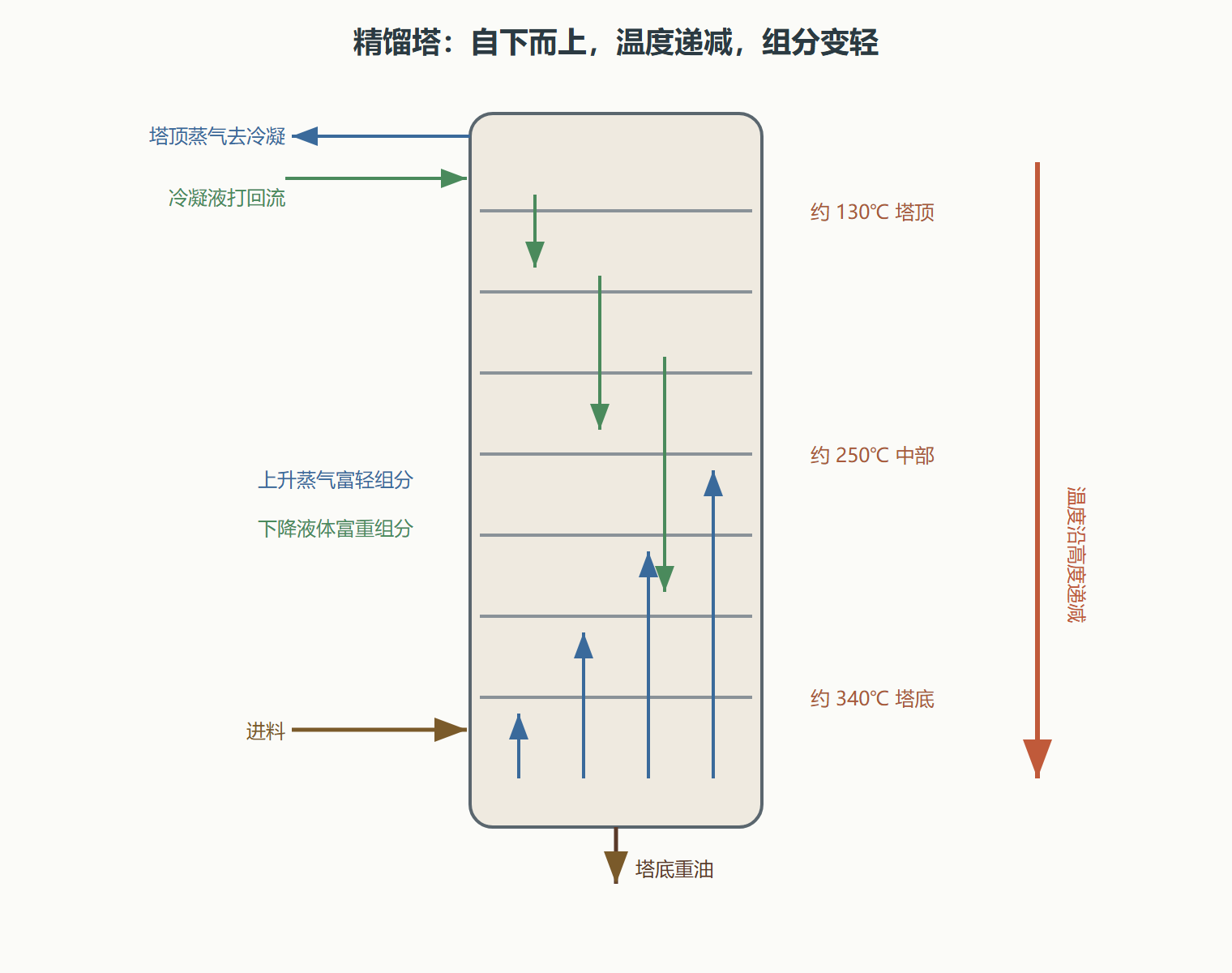 图：精馏塔内的温度梯度与气液传质
