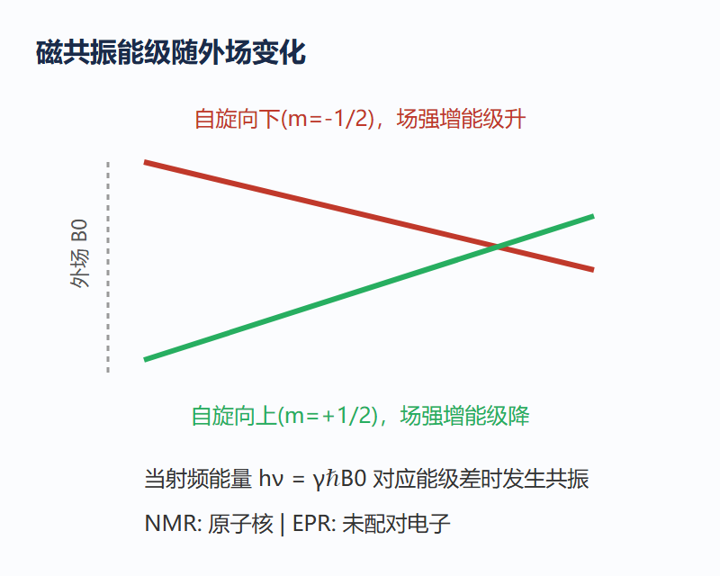4.3 图：自旋能级与外场线性相关的磁共振原理