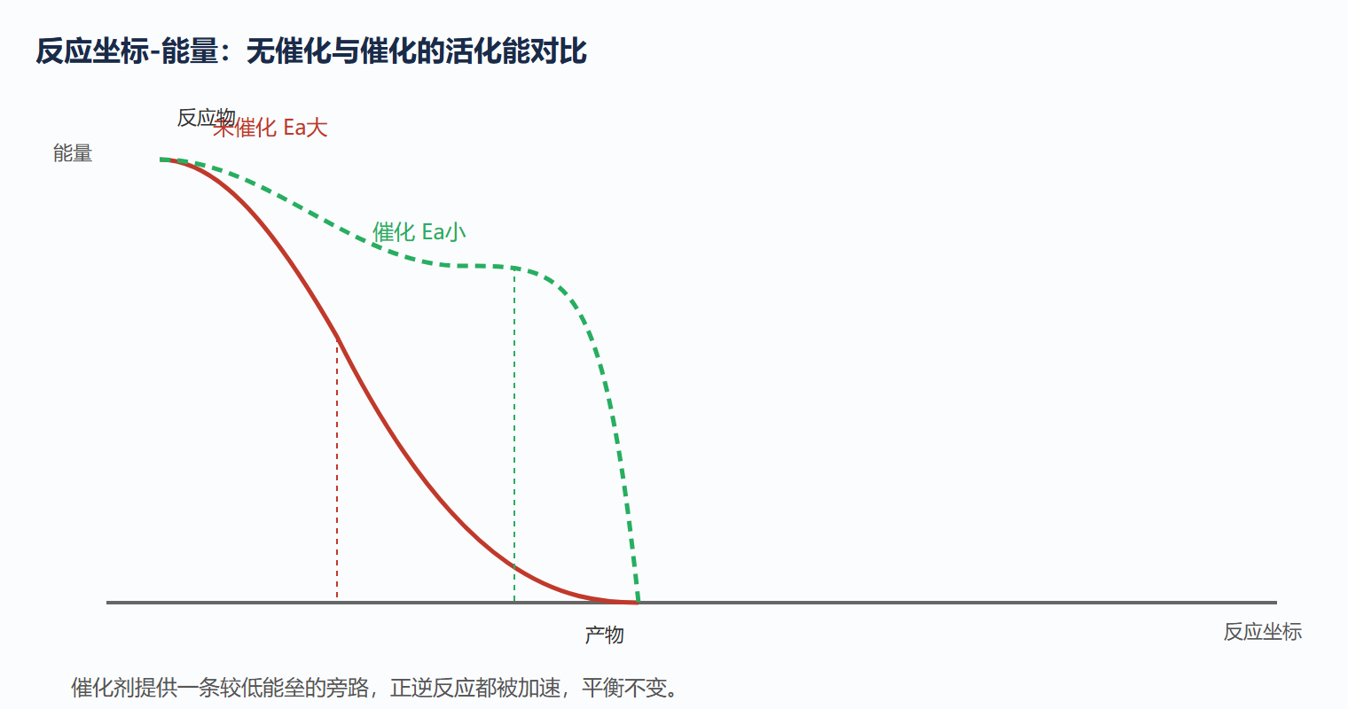 5.2 图:过渡态理论与催化降垒