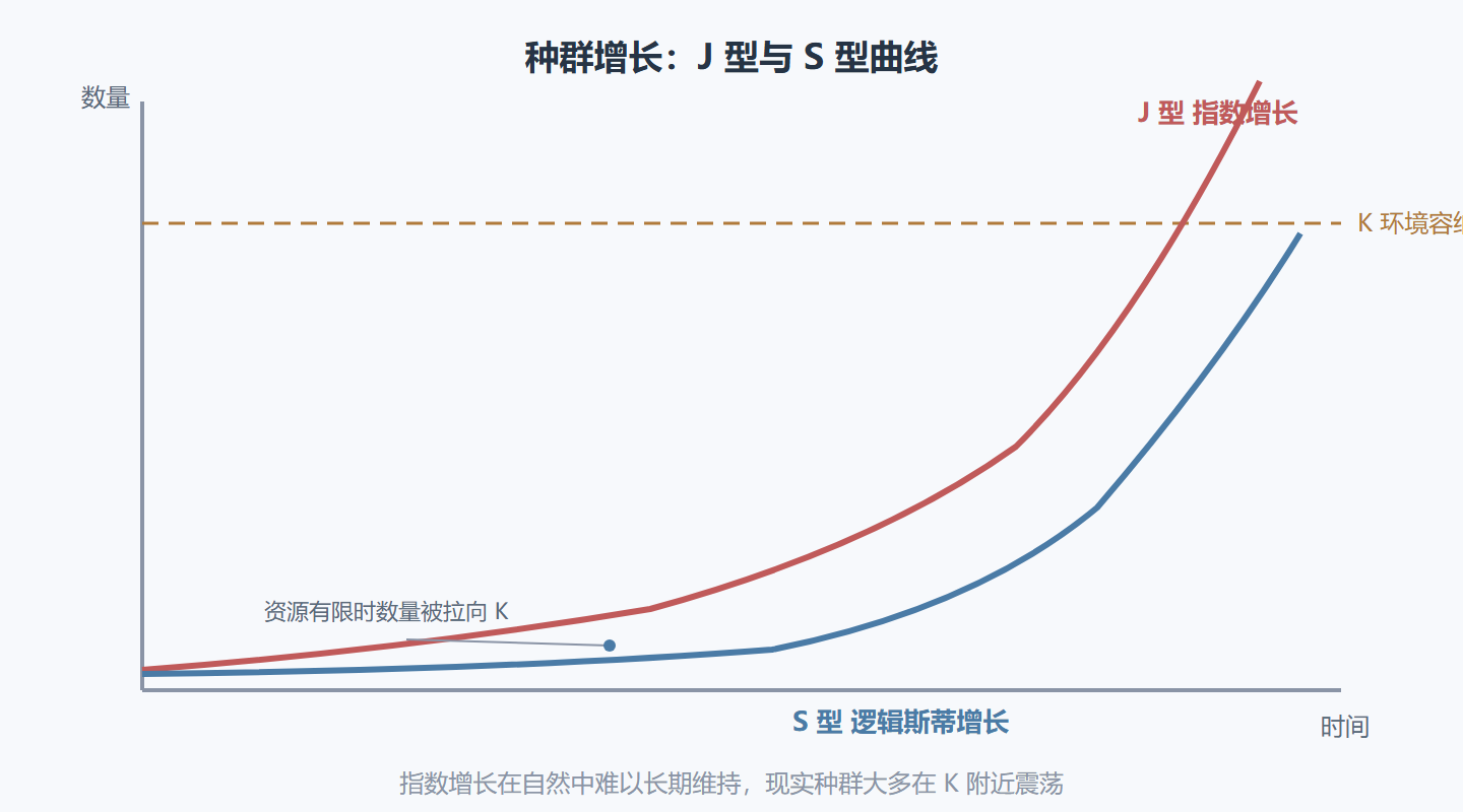 图 6-1：两种增长曲线的对比