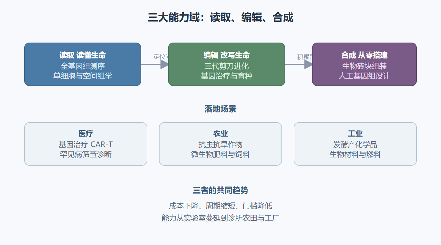 图 8-1：三大能力域的递进与落地
