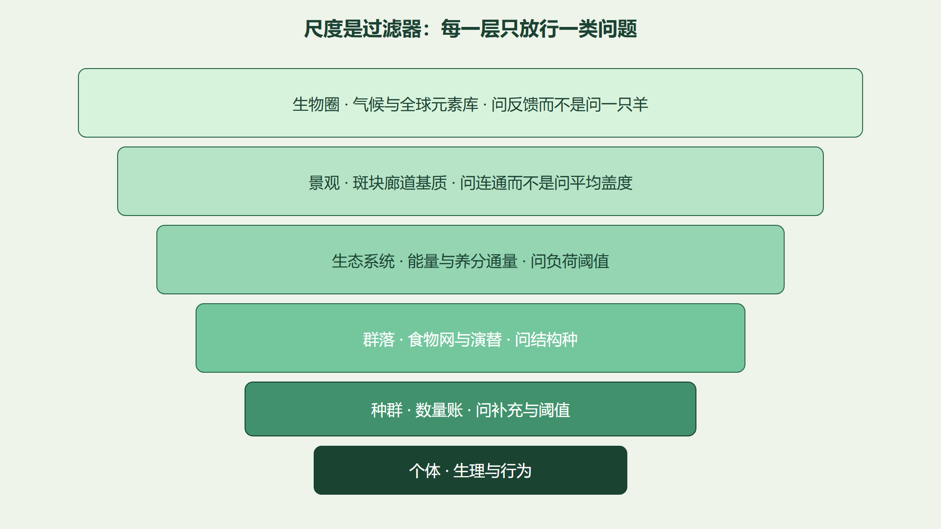 图 尺度套娃：过滤器而不是目录